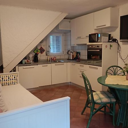 Vila Minicasa Bellinzona Exteriér fotografie